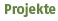 nav_projekte_gruen.tif